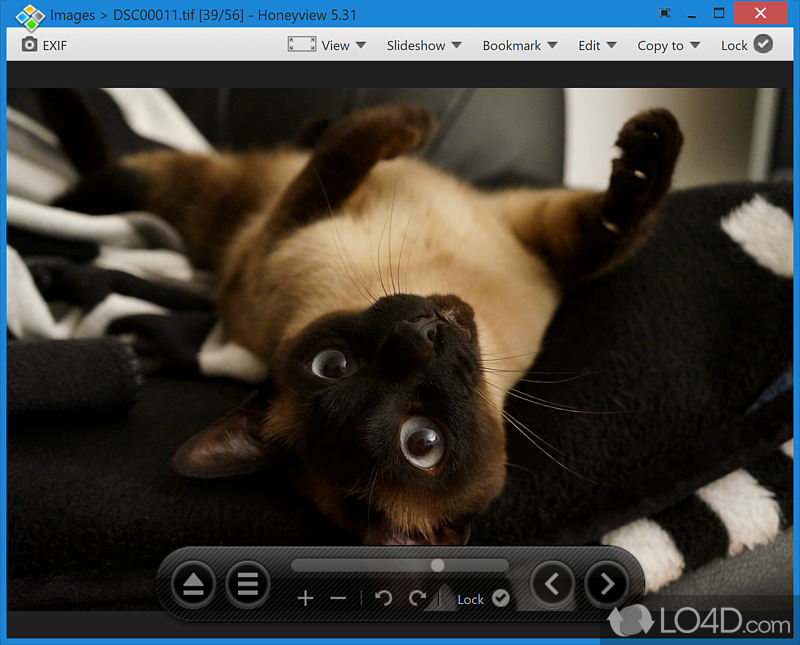 HoneyView browsing photos in folder view